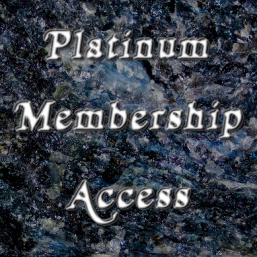 Biennial Platinum Club Access Pass
